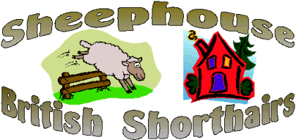 Sheephouse British Shorthairs
